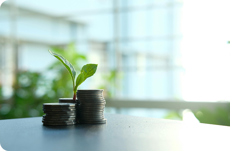 Maximizing Your ROI